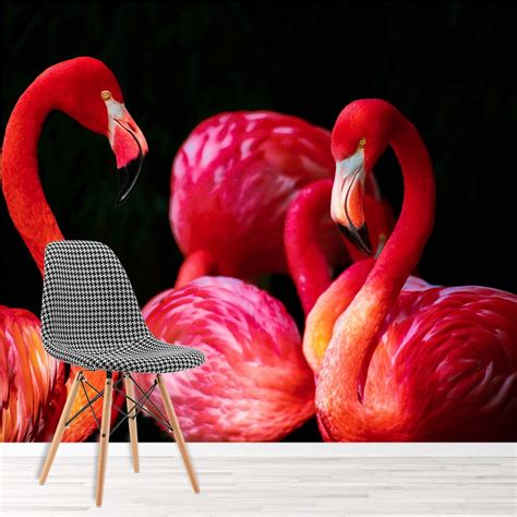 Bright Flamingo Wall Mural Wallpaper