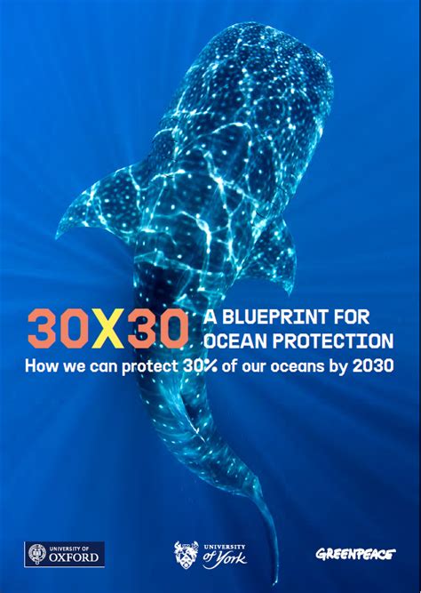 30×30 A Blueprint For Ocean Protection Greenpeace International