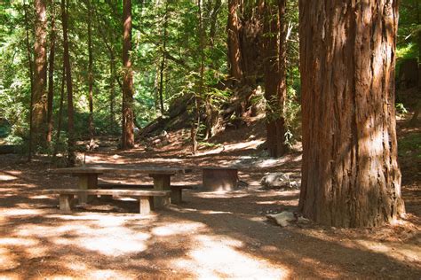 The Best Campgrounds In Big Sur