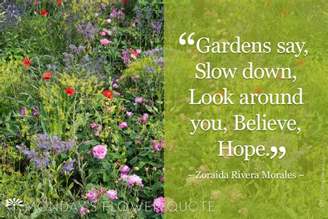 Gardens Say Slow Down Floating Petals Flower Quote