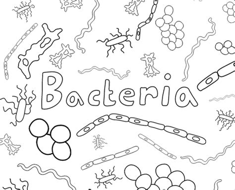 Bacteria Coloring Pages Color Worksheets Coloring Pages Color