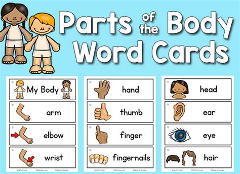 Body Parts Picture Word Cards
