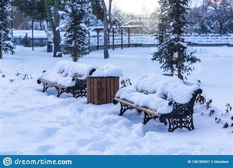 Benches Covered With Snow In Park During Winter Stock Image Image Of