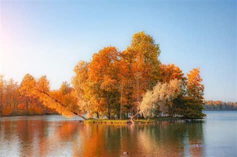 Island With Autumn Sloping Trees In A Large Lake Stock Image Image Of