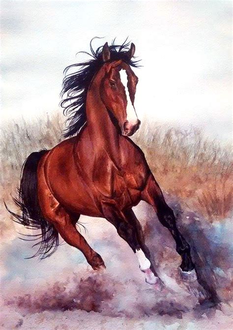 Horse Painting Horse Watercolor Aquarela Лошадь обои Изображение