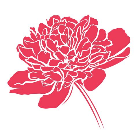 Pink Peony Silhouette Vector Illustration 6469087 Vector Art At Vecteezy