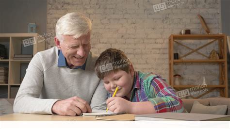 Grandpa Helps A Grandson With Homework Elderly Man Helps A Young Fat