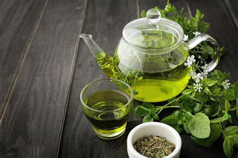 5 Best Herbal Remedies For Allergic Rhinitis Ebuddynews