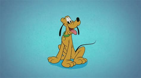 How Old Is Pluto The Dog
