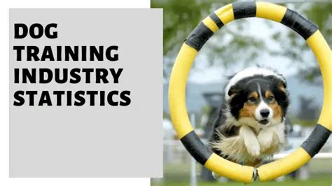 18 Astounding Dog Training Industry Statistics Pet Educate