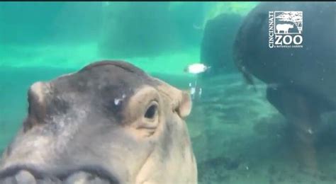 How Much Would You Love A Kiss On The Cheek From Fiona Fiona And Her Mom Bibi Have Been