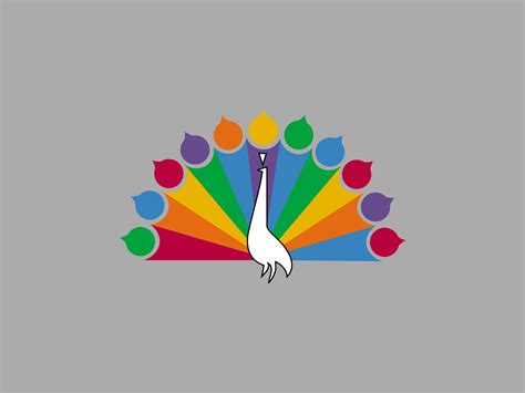 Case Study Evolution Of The Nbc Logo