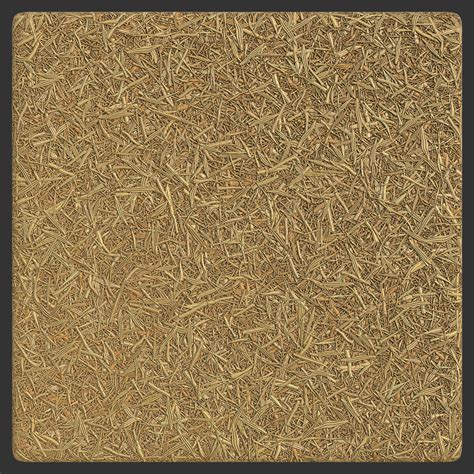 Texturecan Dry Straw Grass Hay Texture