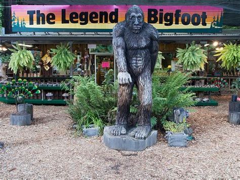Bigfoot Finally A Reasonable Scientific Inquiry Writework