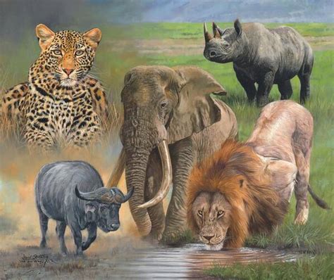 Africas Big Five Poster By David Stribbling