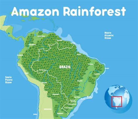 Amazon Rainforest Map Stock Photos Pictures And Royalty Free Images Istock