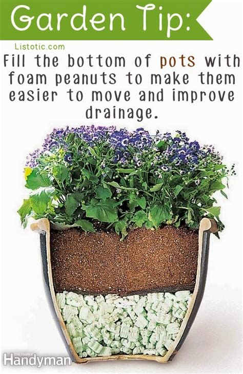 20 Insanely Clever Gardening Tips And Ideas Handy Diy