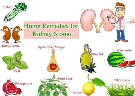 Kidney Infections Mostly Require Treatment With Antibiotic Here Are