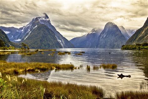 Milford Sound New Zealand Pond Mountain Landscape Wallpapers Hd