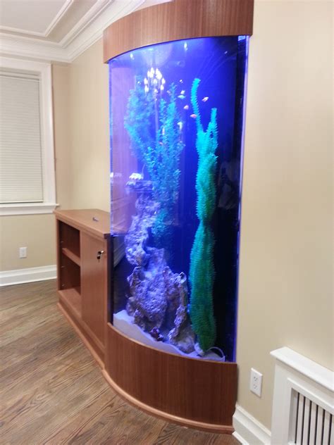 Photo Gallery Of Acrylic Fish Tanks And Aquariums With Cabinetry
