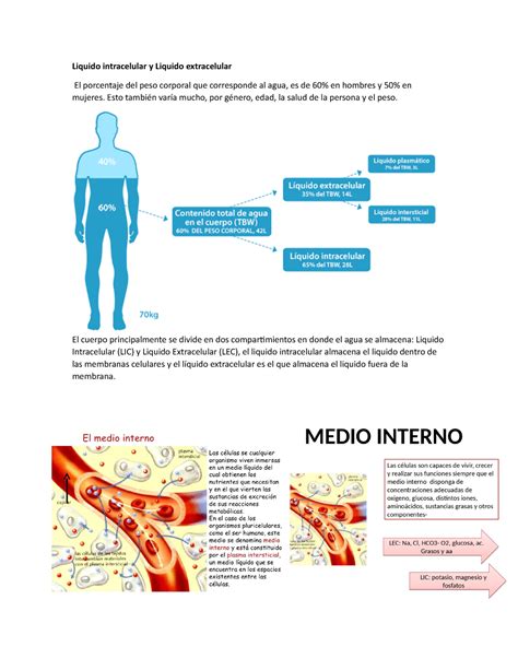 Fisiología Liquido Intracelular Y Extracelular Y Calculo De Este