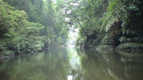 Taman Nasional Bukit Tiga Puluh Backpacker Jakarta