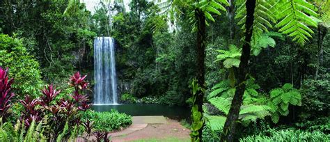 Millaa Millaa Falls Atherton Tablelands Tropical North Queensland