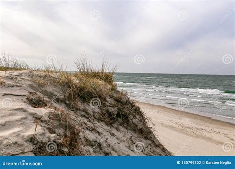 Dune At The Baltic Sea Grass Sand Dune Beach Sea View Stock Photo