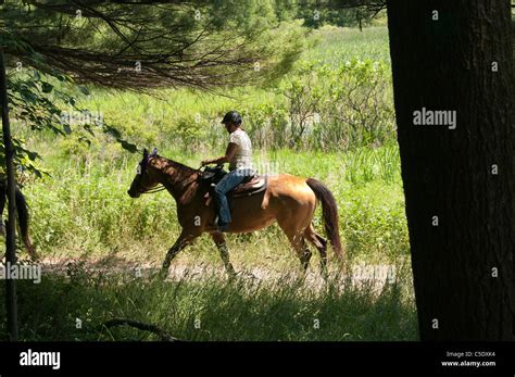 Horseback Riders In Park Stock Photo Alamy