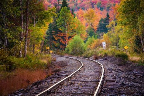 Autumn Color Along A Railroad Track In White Mountain National F Stock
