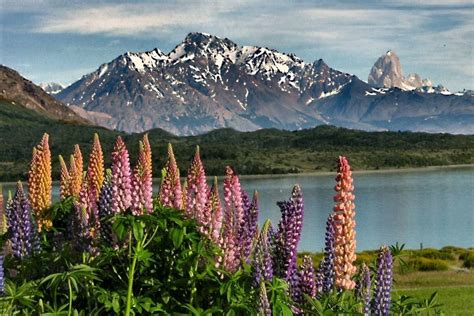 Beautiful Patagonia Inca Trails The Great Outdoors Places To Go