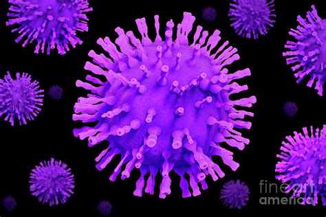 Varicella Zoster Virus Particles Photograph By Tim Vernon Science