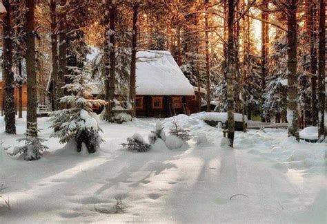 Beautiful Cozy Winter Cottage Cabin In The Woods