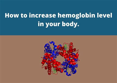 How To Increase Hemoglobin Level In Your Body In 2022 My Vision Of Health