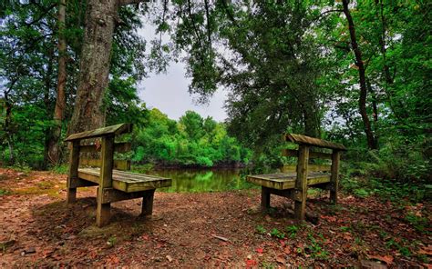 Nature Landscape Hdr Bench Trees Forest Lake Leaves Wallpapers