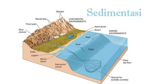 Pengertian Sedimentasi Macam Macam Dan Contoh Sedimentasi Lengkap