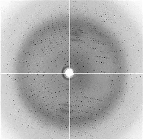 1 An X Ray Diffraction Pattern Of A Protein Crystal Recorded On A Ccd