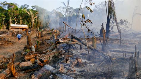 Brasilien Zerstörung Des Amazonas Regenwalds Dramatisch Gestiegen