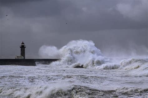 Winter Sea Storm Stock Photo Image Of Hurricane Beach 258720146