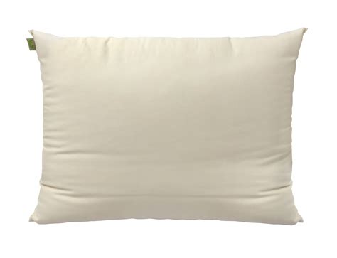 The captain hates the sea 5. Organic Cloud Pillow / Oreiller biologique Cloud - Natura