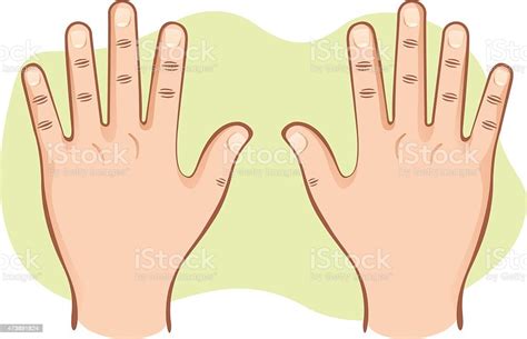 Body Pair Of Hands Open Top View Stock Illustration Download Image