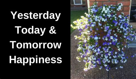 Yesterday Today And Tomorrow Happiness Happiness Bank