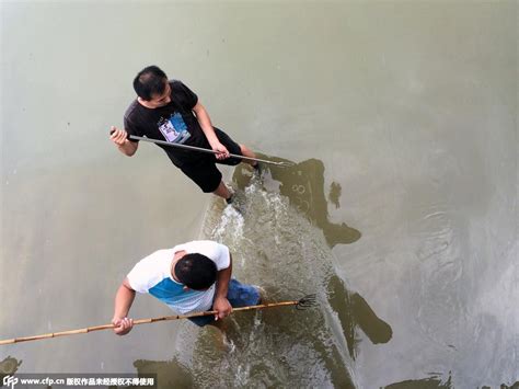 The site owner hides the web page description. 武汉暴雨后市民上街抓鱼(组图)-搜狐滚动
