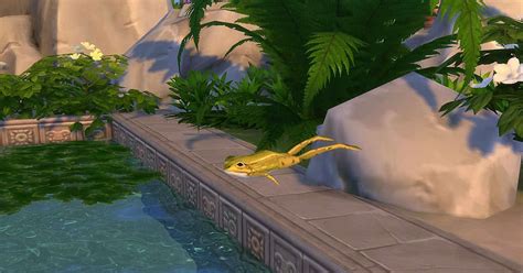 How To Collect All Frogs In The Sims 4