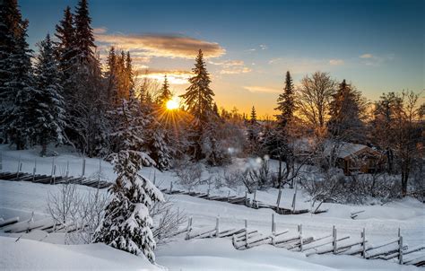 Wallpaper Winter Forest Sunset Norway Norway Lillehammer