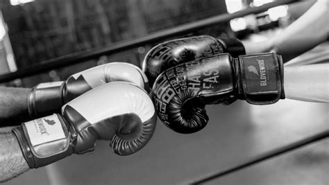 Everlast, sanabul, liberlupus, trideer, venum How to Choose the Best Boxing Gloves for Beginners | Gloveworx