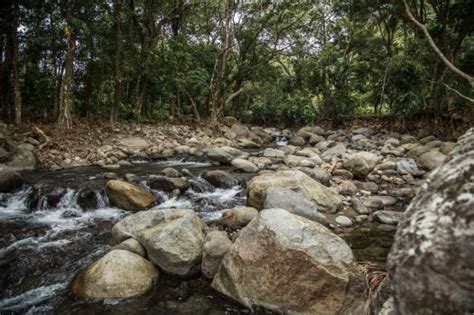 the nature is the luxury glamping in dominica