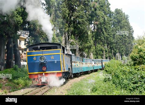 Tren De Juguete Tren De Montaña Nilgiri Patrimonio De La Humanidad