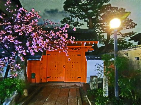 Once the night falls, the water. DON'T MISS: Things to do in Gion at night
