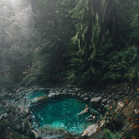 Hot Springs In A Forest Mostbeautiful